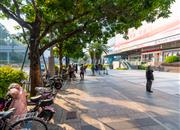 田厦国际中心-环境绿化