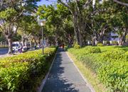 益田花园二期-环境绿化