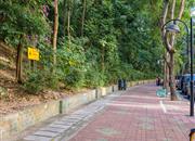 云顶翠峰三期-环境绿化