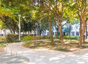 益田村(益荣居)-环境绿化