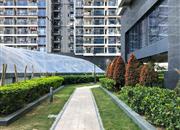 新地中央广场-环境绿化