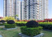 新地中央广场-环境绿化