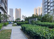 新地中央广场-环境绿化