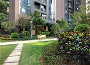 京基御景峯-环境绿化