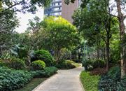 京基御景峯-环境绿化