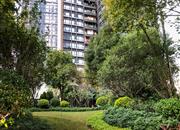 京基御景峯-环境绿化