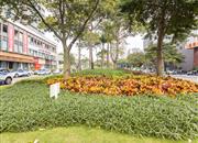 皇御苑B区-环境绿化