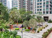 深物业金领-环境绿化