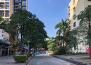 德意名居（二期）-环境绿化