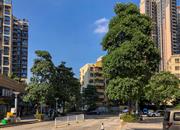 德意名居（二期）-环境绿化