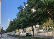 华通住宅楼-环境绿化