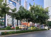 华通住宅楼-环境绿化