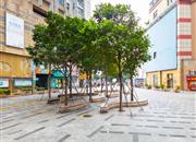 港城华庭-环境绿化