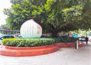 港城华庭-环境绿化