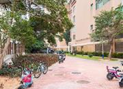 港城华庭-环境绿化