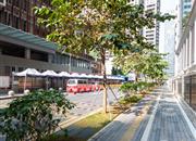 中心天元-环境绿化