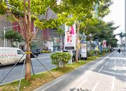 中心天元-环境绿化