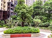 星航华府（三期）-环境绿化