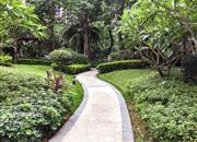 星航华府（三期）-环境绿化