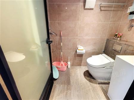 万科麓山（万科麓城四期商办、金域领峰花园)-卫生间