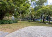 湖滨花园(南山)-环境绿化