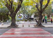 湖滨花园(南山)-环境绿化