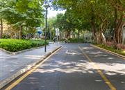 湖滨花园(南山)-环境绿化