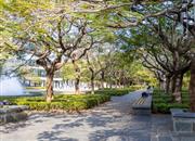 湖滨花园(南山)-环境绿化