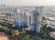 湖滨花园(南山)-俯瞰图