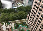 天安国际大厦-俯瞰图