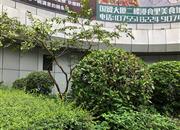 天安国际大厦-环境绿化