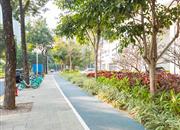 金迪世纪-环境绿化