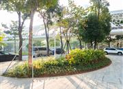 金迪世纪-环境绿化