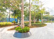 金迪世纪-环境绿化