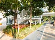 金迪世纪-环境绿化