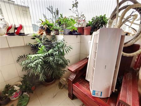 中城康桥花园（一期）-阳台