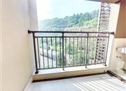 万科麓城三期（金域中央花园二期）-阳台