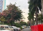 泰丰宿舍楼(泰丰楼)-基础设施