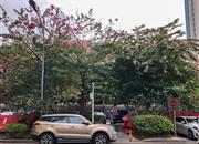 泰丰宿舍楼(泰丰楼)-基础设施