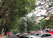 泰丰宿舍楼(泰丰楼)-基础设施