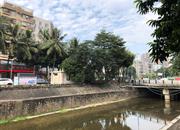 五金宿舍楼(联发综合楼)-环境绿化