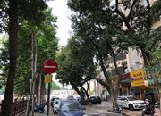 五金宿舍楼(联发综合楼)-环境绿化