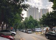 五金宿舍楼(联发综合楼)-环境绿化