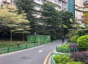 新世界大厦-环境绿化