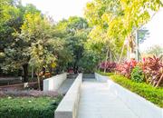 新天鹅堡三期-环境绿化