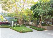 新天鹅堡三期-环境绿化