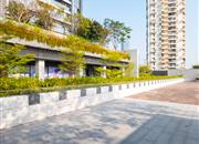 新天鹅堡三期-环境绿化