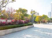 新天鹅堡三期-环境绿化