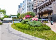 鹏大厦-环境绿化