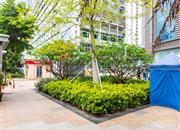 鹏大厦-环境绿化